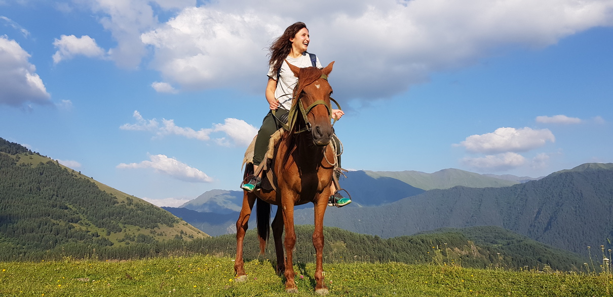 how to make horse treats