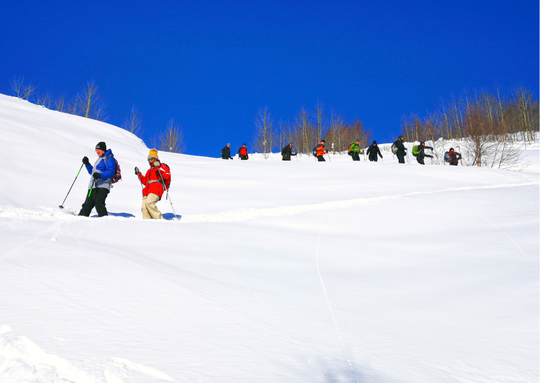 places to visit in georgia for snow