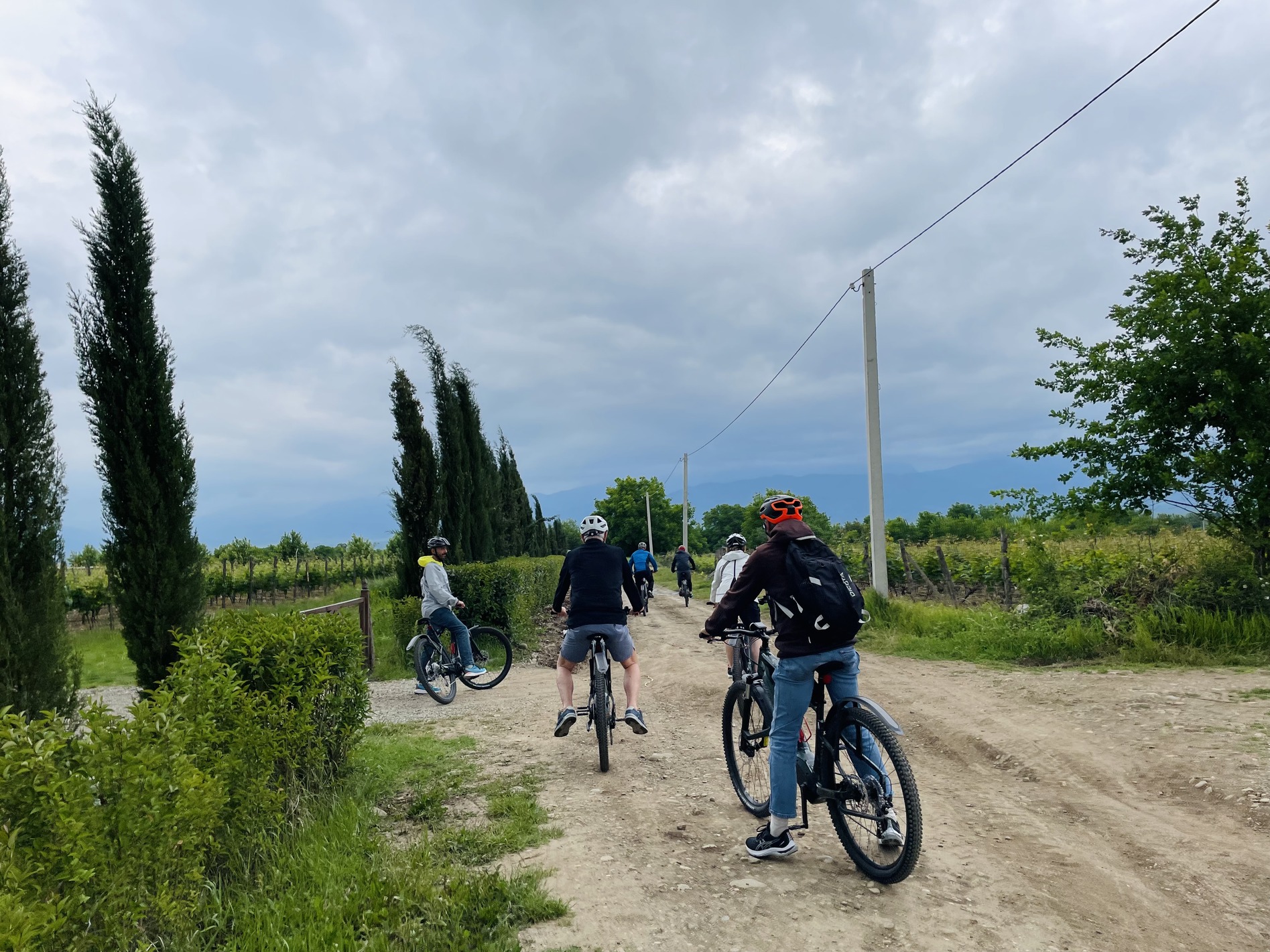 Bike Tour in Telavi