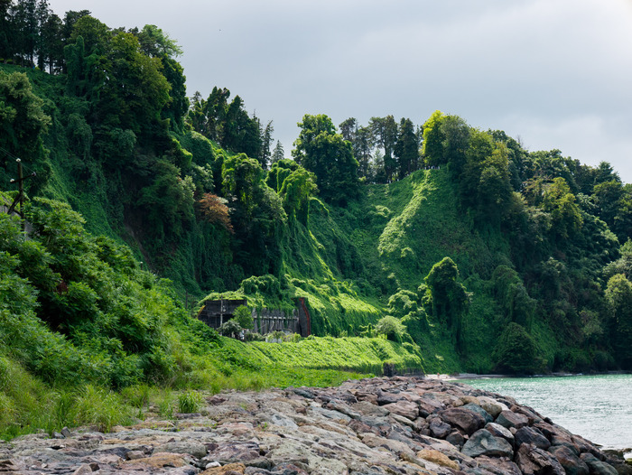 Batumi,Botanical,Garden,(georgia),On,Black,Sea,Seashore