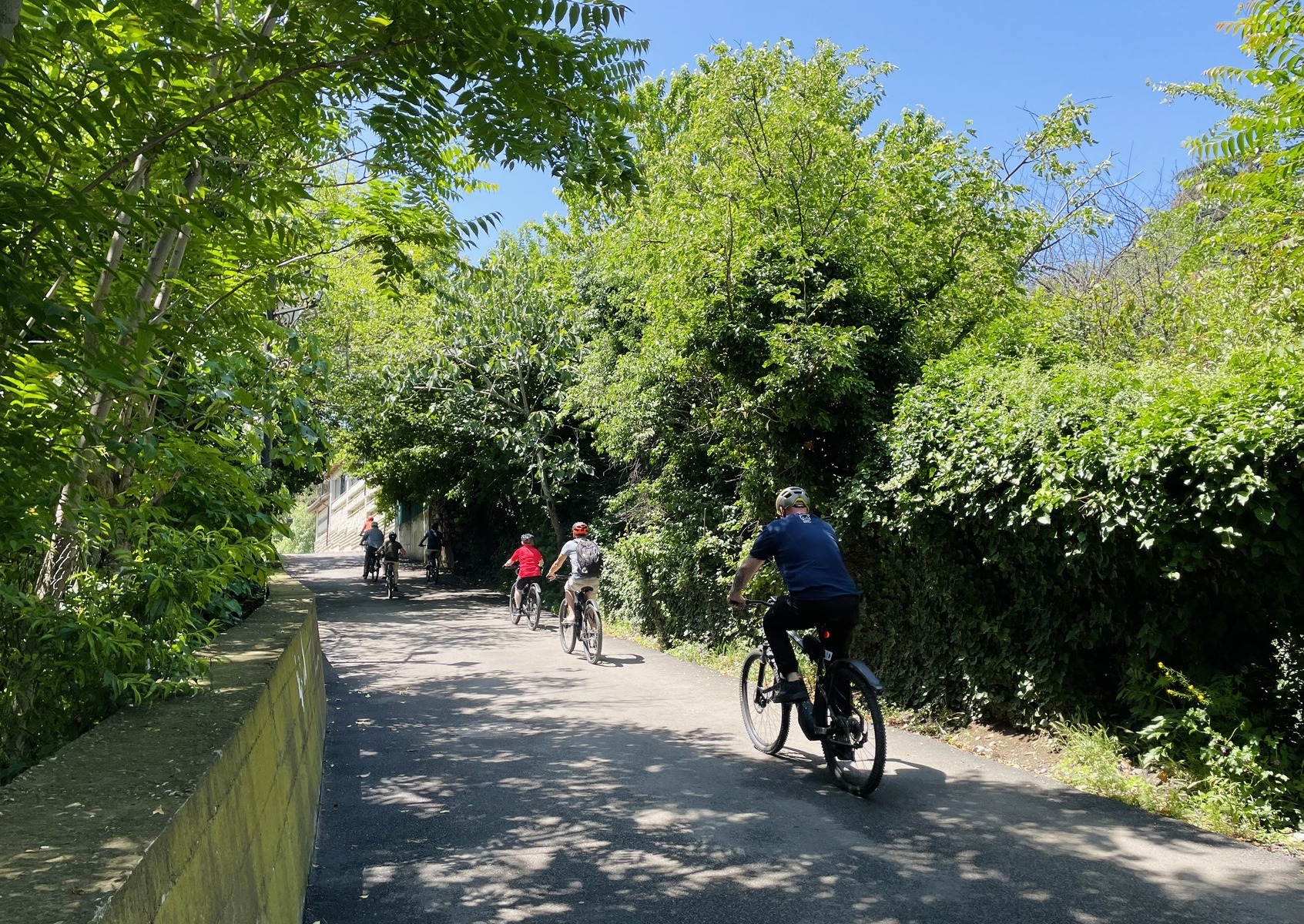 Bike Tour in Georgia