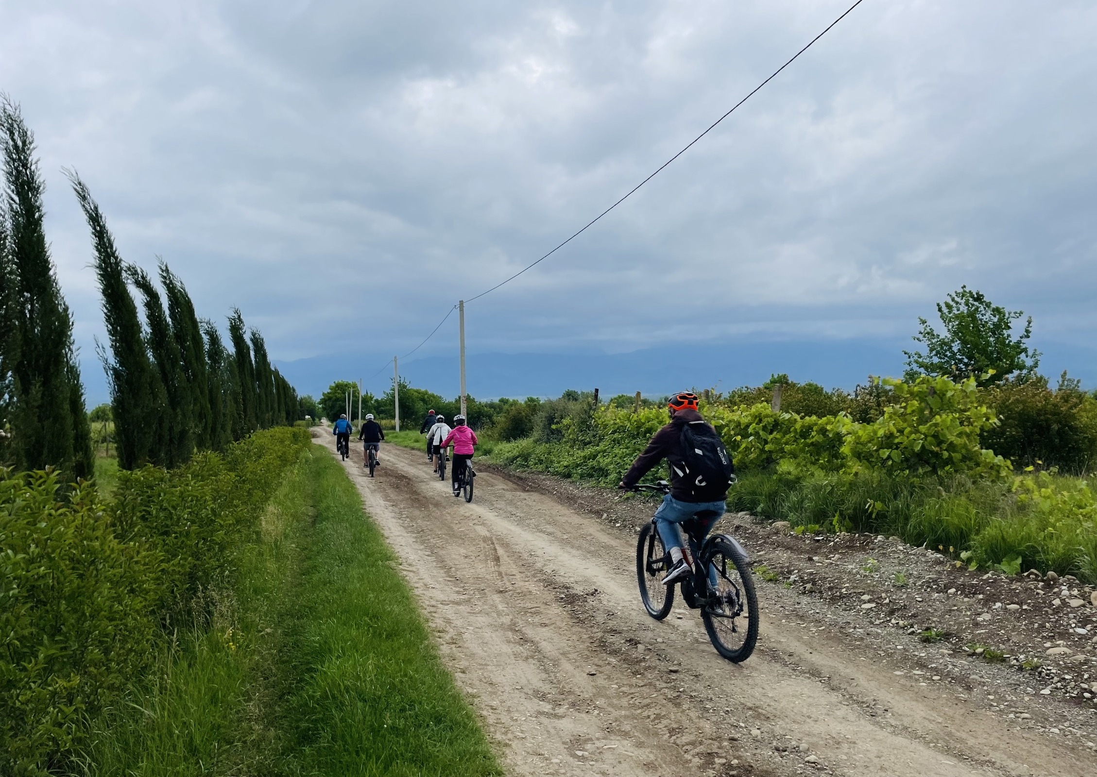 Bike Tour in Kakheti