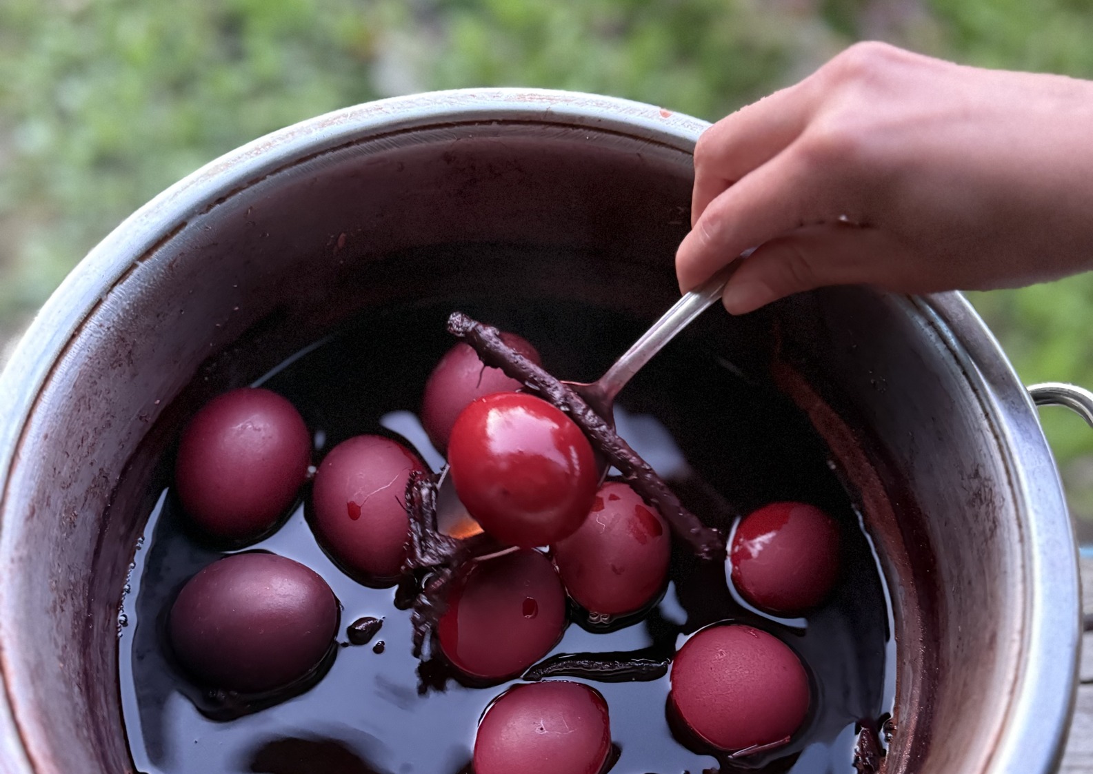 Dyeing Easter Eggs
