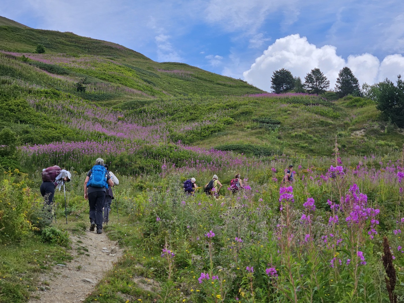Flower Tour, Svaneti