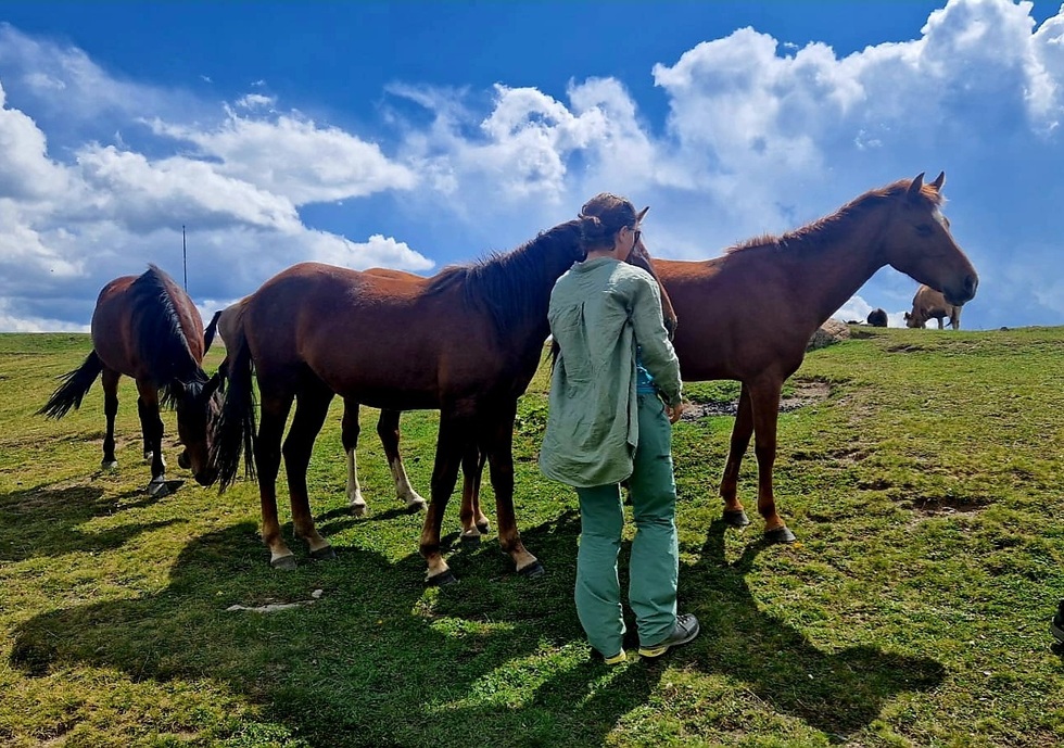 Horse Riding Tour