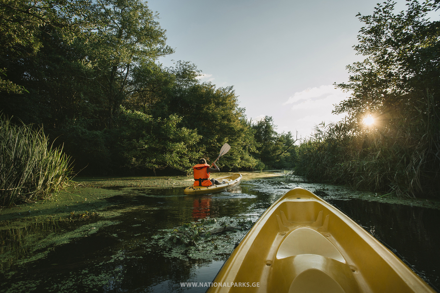 Kolkheti National Park
