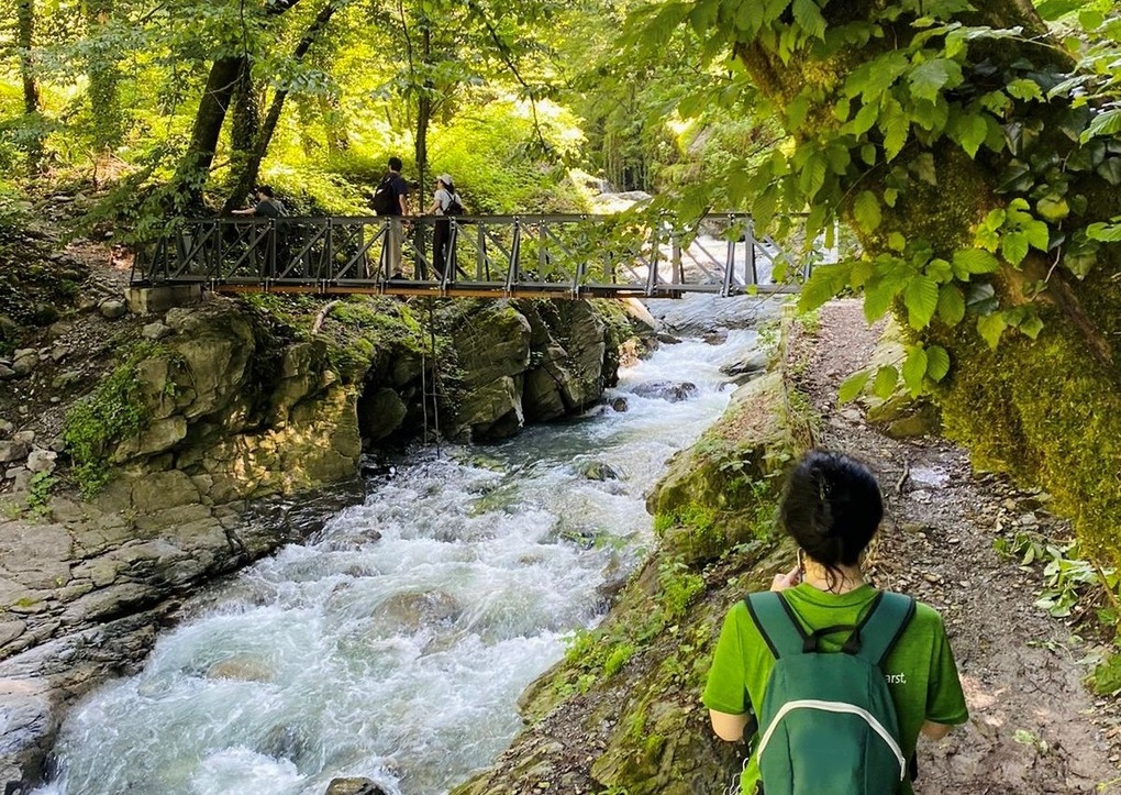 Lagodekhi Reserve, Georgia