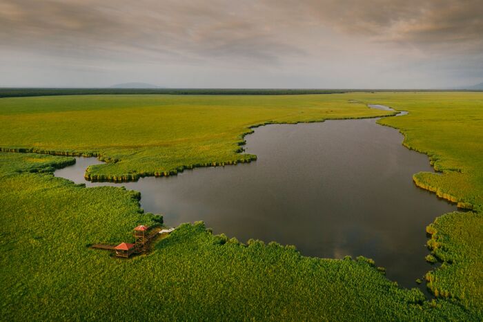 Paliastomi Lake, Birdwatching
