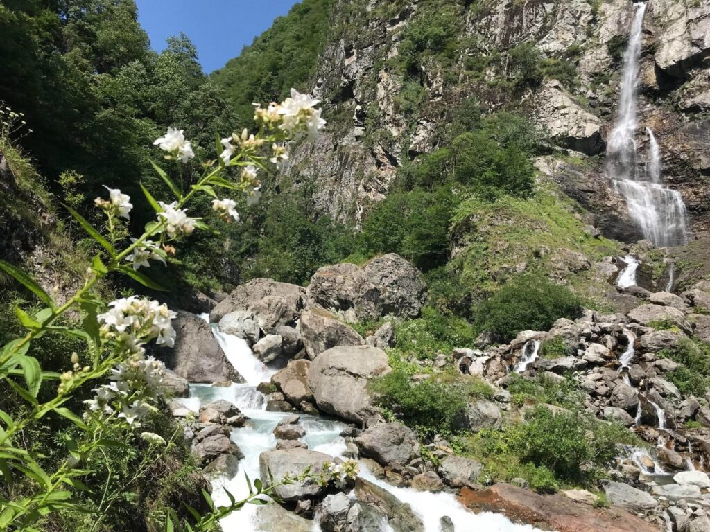 Pankisi Gorge