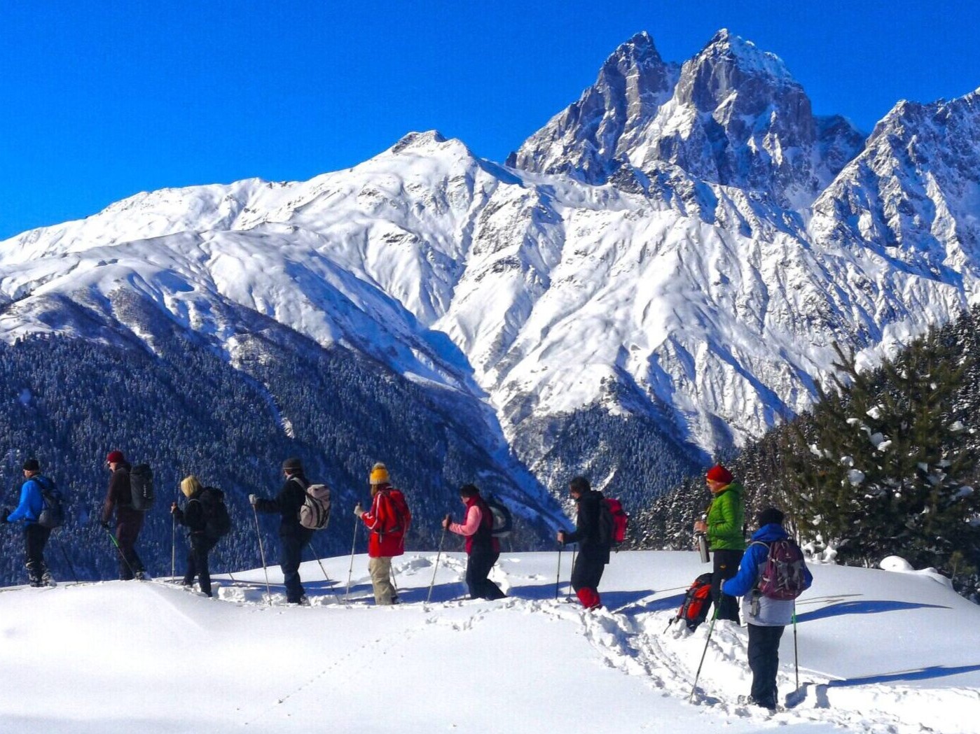 Snowshoe Tour in Georgia