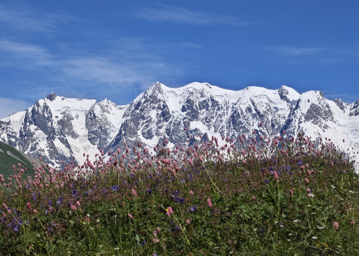 Svaneti Flower Tour