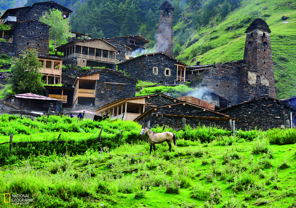 Tusheti View Horse