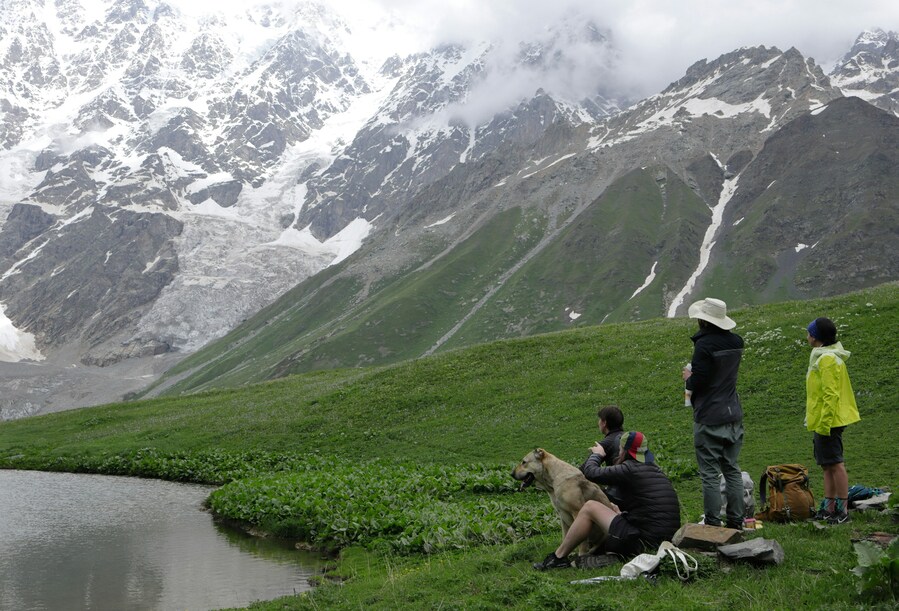 janita-top-Shkhara glacier janita-top-Shkhara glacier