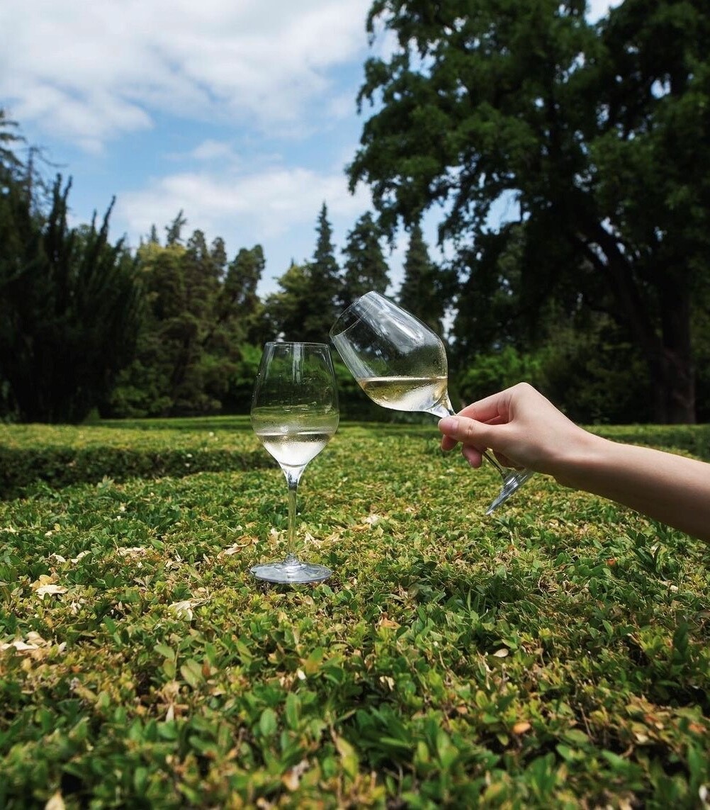 Kakheti, Wine